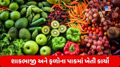 Agriculture: ખેડૂતોએ જુન માસમાં જુદા-જુદા શાકભાજી અને ફળોના પાકમાં કરવાના થતા ખેતી કાર્યોની માહિતી