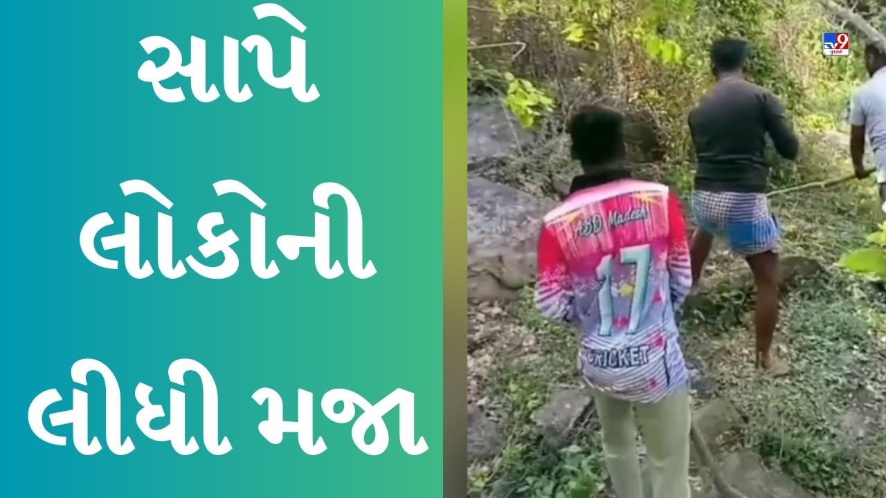 Funny Viral Video : ગયા હતા અજગરને પકડવા, જુઓ વાયરલ વીડિયોમાં સાપે કેવી રીતે લીધી મજા