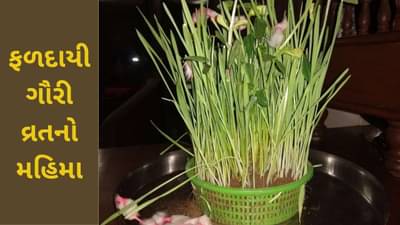 Gauri Vrat Poojan: આજથી ગૌરી વ્રતનો પ્રારંભ, શું છે આ વ્રતનો ગૂઢાર્થ અને દિકરીઓના આ વ્રતમાં તમારે શું રાખવું જોઈએ ખાસ ધ્યાન ?