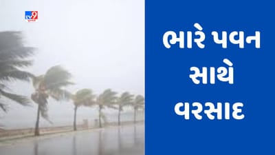 Gujarati Video : ગીર સોમનાથના ઉનામાં Cyclone Biparjoyની અસર, ભારે પવન સાથે વરસ્યો વરસાદ Gujarati Video : ગીર સોમનાથના ઉનામાં Cyclone Biparjoyની અસર, ભારે પવન સાથે વરસ્યો વરસાદ