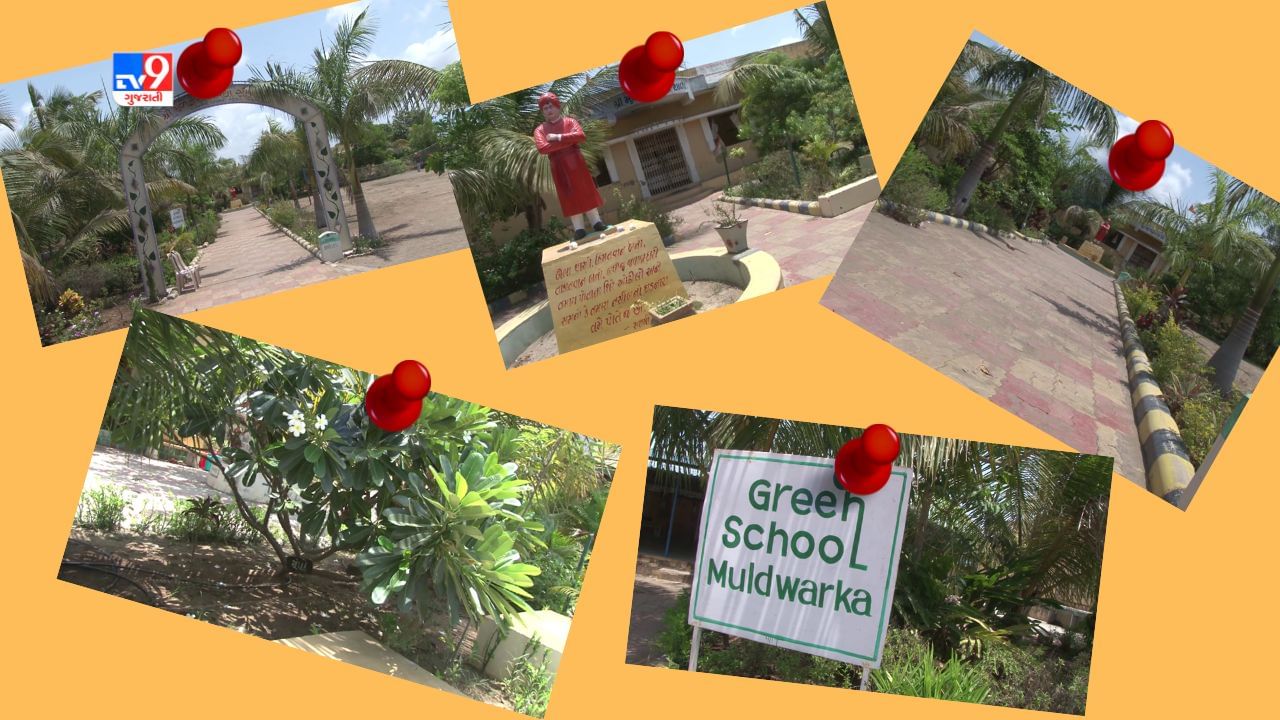 World Environment day : ગીર સોમનાથના મૂળ દ્વારકાની સરકારી શાળા બની ગ્રીન સ્કૂલ, 600થી વધુ વિદ્યાર્થીઓને અપાય છે પર્યાવરણ જતનના પાઠ