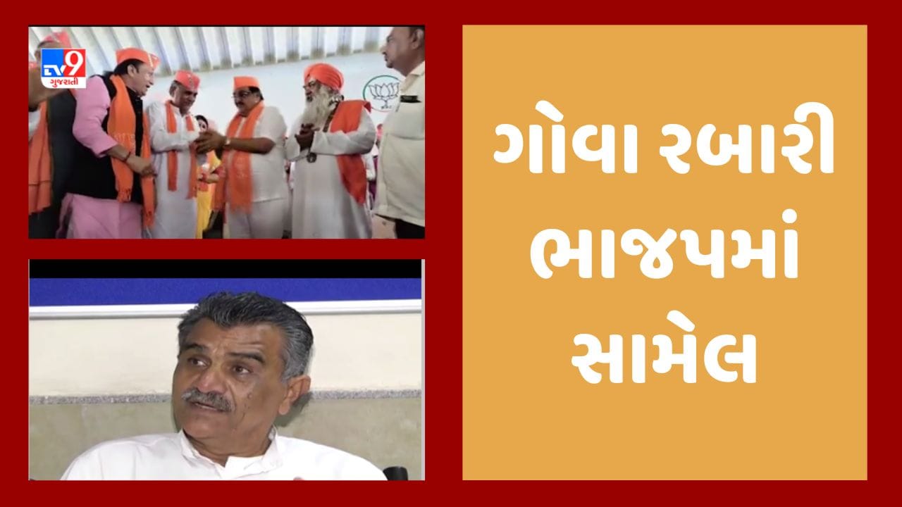 Gandhinagar : ઉત્તર ગુજરાતના કદાવર નેતા ગોવા રબારીના કેસરિયા, પુત્ર સંજય રબારી પણ ભાજપમાં સામેલ, જૂઓ Video Gandhinagar : ઉત્તર ગુજરાતના કદાવર નેતા ગોવા રબારીના કેસરિયા, પુત્ર સંજય રબારી પણ ભાજપમાં સામેલ, જૂઓ Video