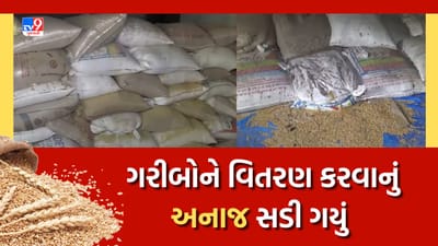 Rajkot : પુરવઠા તંત્રની ઘોર બેદરકારી, ગરીબોને વિતરણ કરવાનું અનાજ સડી ગયું, જુઓ Video