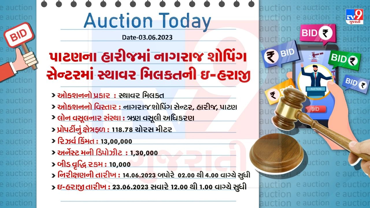 Gujarat Patan Harij E Auction Detail