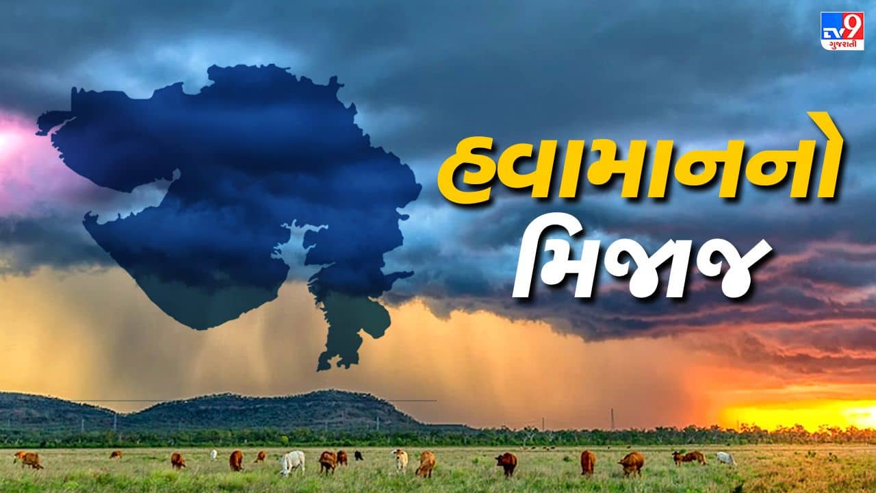 Gujarat Weather Forecast: આજે રાજ્યના અનેક જિલ્લાઓમાં ભારે વરસાદની આગાહી, જુઓ Video
