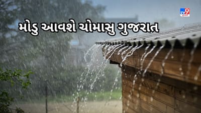 Gujarat Weather: ચોમાસાને લઈને ગુજરાતવાસીઓએ જોવી પડી શકે છે રાહ, દક્ષિણ ગુજરાતમાં એક દિવસ વરસાદની આગાહી, જુઓ Video