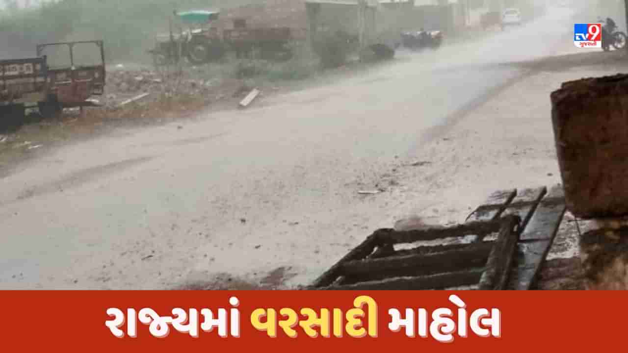 Gujarat Video: ઉમરગામથી લઈ કચ્છના મુન્દ્રા સુધી વરસાદી માહોલ, રાજ્યના 154 તાલુકામાં વરસાદ