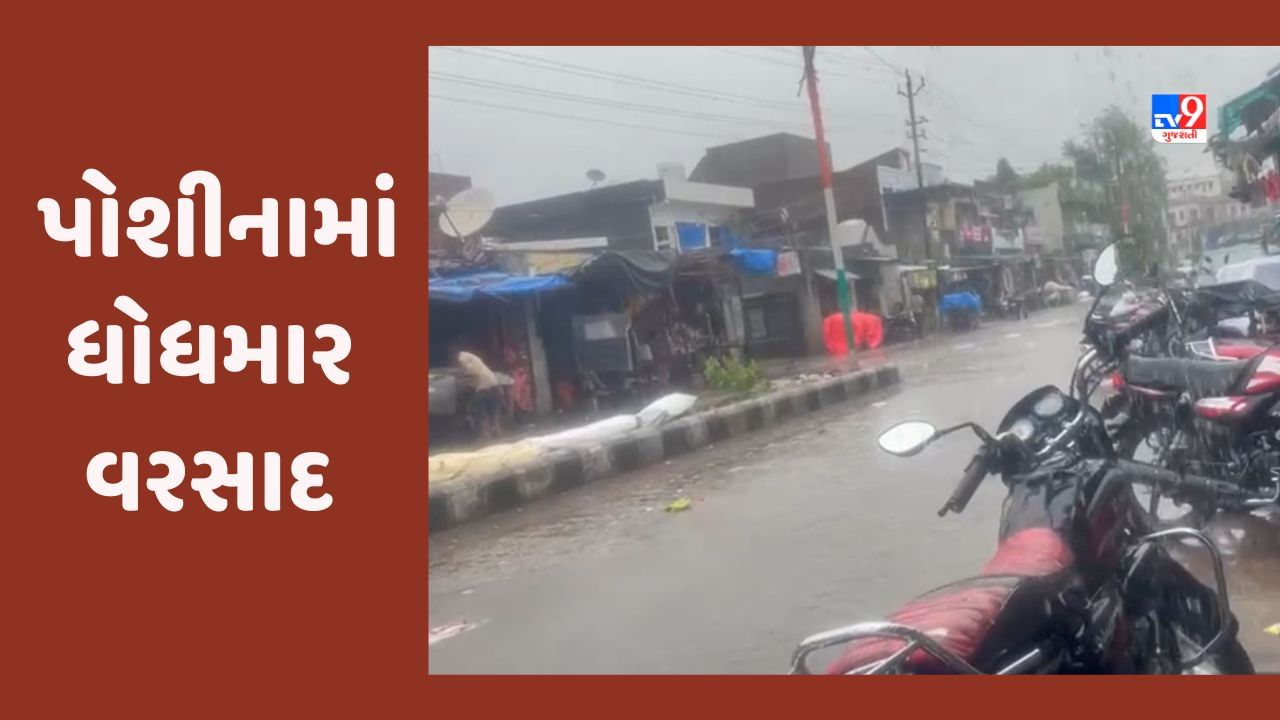 Rain in Sabarkantha: સાબરકાંઠામાં ધોધમાર વરસાદ, પોશીના તાલુકામાં 6 ઈંચ, વિજયનગરમાં અઢી ઈંચ નોંધાયો