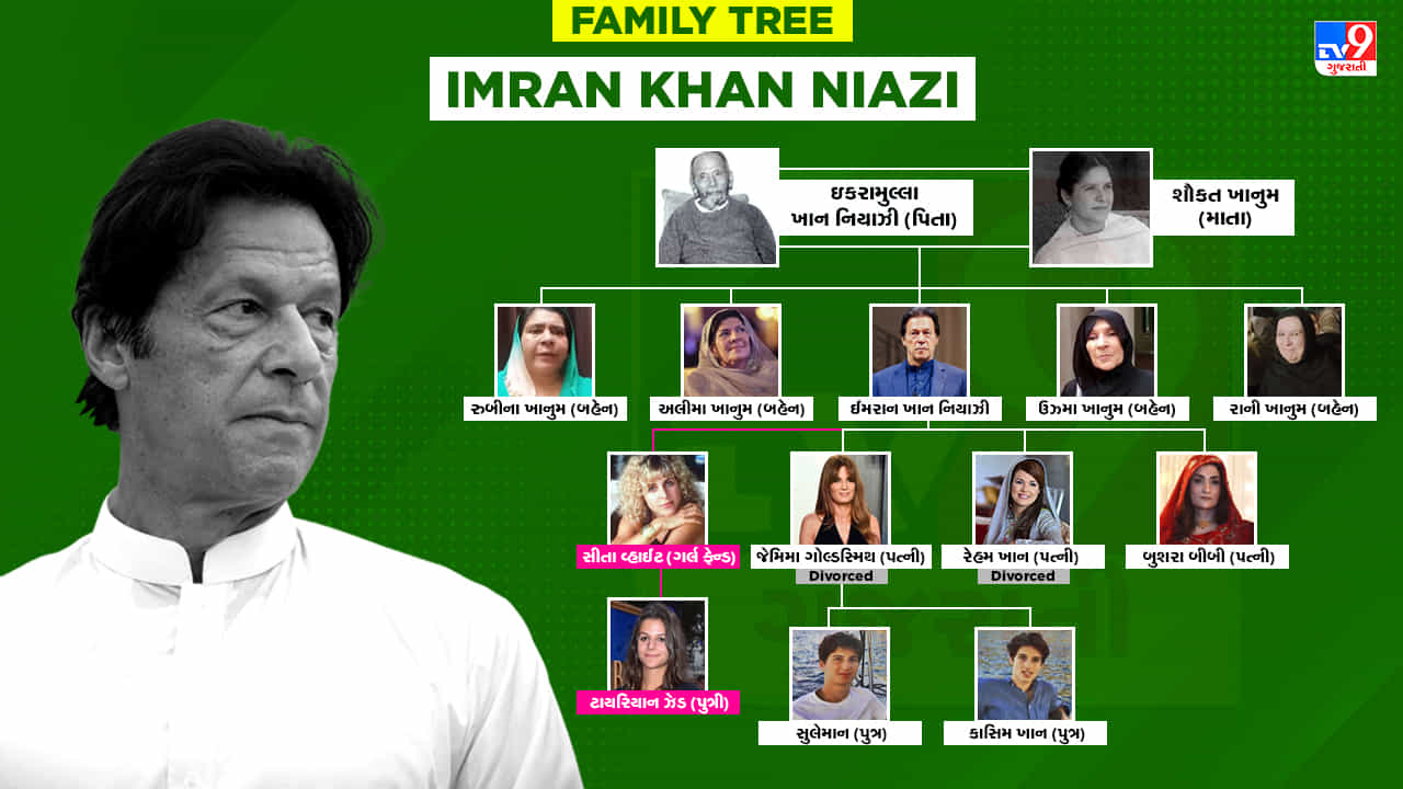 Imran Khan Family Tree : ઈમરાન ખાનના પરિવારમાં છે ત્રણ પત્ની, 4 બહેન, જાણો પરિવાર વિશે
