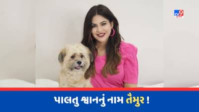 આ ગુજરાતી અભિનેત્રી એ પોતાના શ્વાનનું નામ રાખ્યું તૈમુર, યુઝર્સે કહ્યું - કરીના-સૈફ માગી રહ્યા છે તારુ લોકેશન !
