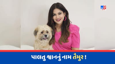 આ ગુજરાતી અભિનેત્રી એ પોતાના શ્વાનનું નામ રાખ્યું 'તૈમુર', યુઝર્સે કહ્યું - કરીના-સૈફ માગી રહ્યા છે તારુ લોકેશન !