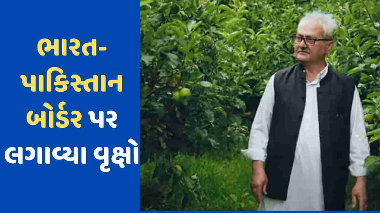 My India My Life Goals: ભારત- પાકિસ્તાનની બોર્ડર પર વર્ષોથી વાવી રહ્યા છે વૃક્ષો, જાણો કોણ છે આ વ્યક્તિ અને કેમ કરી રહ્યા છે આ કામગીરી?