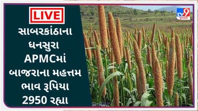Mandi : સાબરકાંઠાના ધનસુરા APMCમાં બાજરાના મહત્તમ ભાવ રૂપિયા 2950 રહ્યા, જાણો જુદા-જુદા પાકના ભાવ