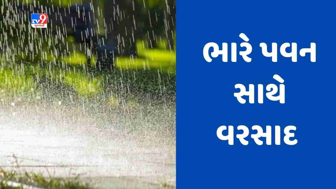 Gujarati Video : મહેસાણામાં ભર ઉનાળે સર્જાયો ચોમાસા જેવો માહોલ, છાપરા ઉડ્યા