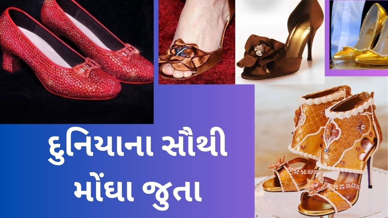 Amazon.com: Sindh Sindhis Ajrak Punjabi Gujarati Punjabis Pashtuns Sindh  T-Shirt : Clothing, Shoes & Jewelry