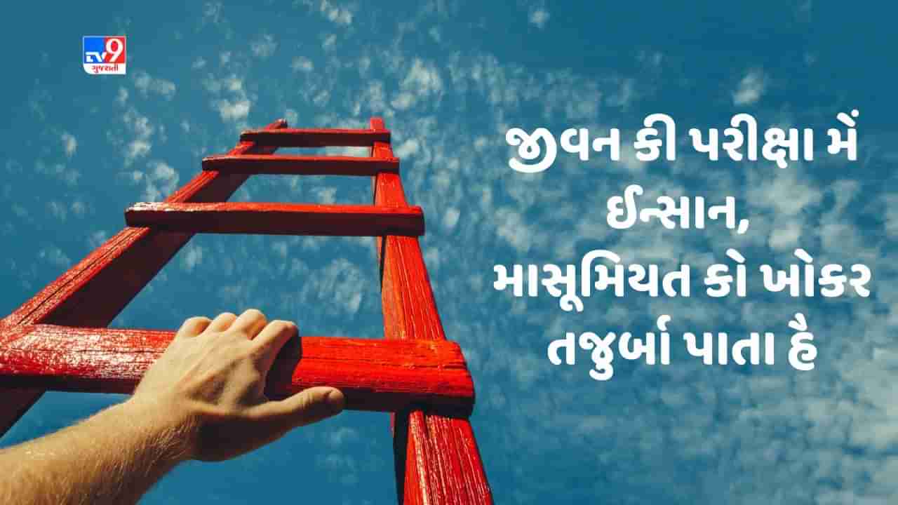 Motivational Shayari : જો પરિસ્થતિયોં કો સહના સીખ જાતે હૈં, વો બહાના બનાના ઔર કહના છોડ દેતે હૈ