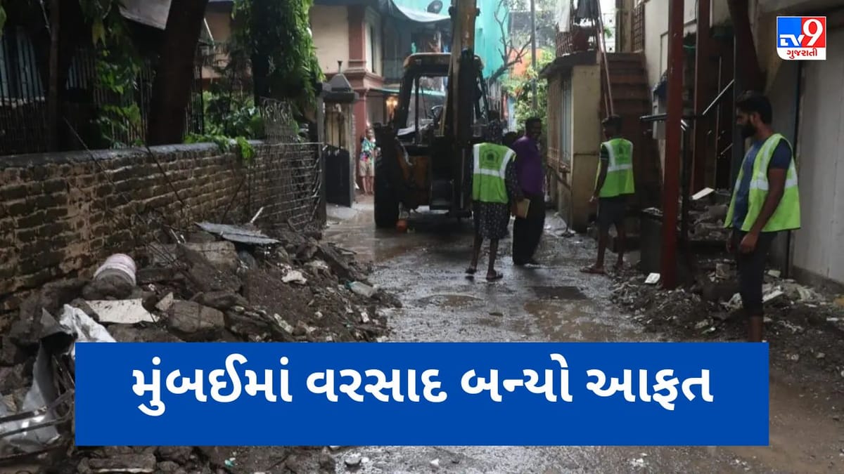 મુંબઈમાં ભારે વરસાદે તબાહી મચાવી, વિલે પાર્લે વિસ્તારમાં ત્રણ માળની ઈમારતની બાલ્કની ધરાશાયી, 2ના મોત 5 ઘાયલ મુંબઈમાં ભારે વરસાદે તબાહી મચાવી, વિલે પાર્લે વિસ્તારમાં ત્રણ માળની ઈમારતની બાલ્કની ધરાશાયી, 2ના મોત 5 ઘાયલ