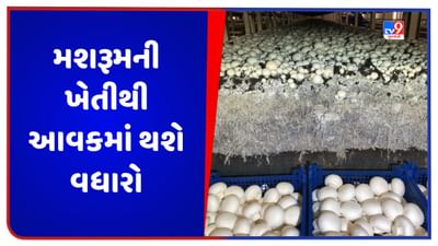 Mushroom Farming: સરકાર મશરૂમની ખેતી કરવા માટે આપશે 50 ટકા સબસિડી, આ રીતે અરજી કરી યોજનાનો લાભ મેળવો