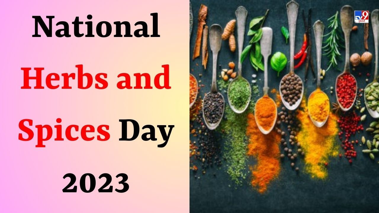 National Herbs And Spices Day 2023 આજે છે રાષ્ટ્રીય જડીબુટ્ટીઓ અને