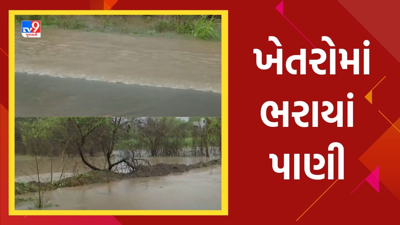 Navsari : ચીખલીમાં ભારે વરસાદ, ખેતરોમાં ભરાયાં પાણી, જુઓ Video Navsari : ચીખલીમાં ભારે વરસાદ, ખેતરોમાં ભરાયાં પાણી, જુઓ Video