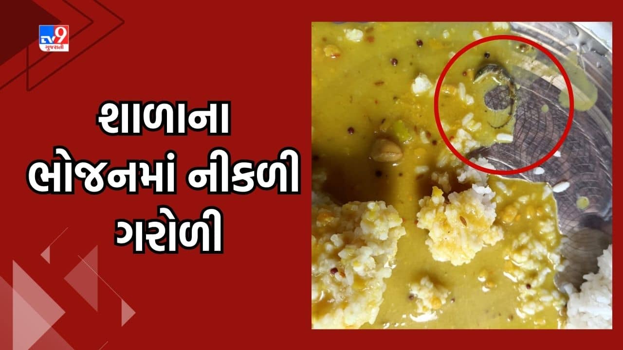 Navsari: સરકારી પ્રાથમિક શાળાના ભોજનમાં નીકળી ગરોળી, શિક્ષણ વિભાગને જાણ થતાં તપાસ શરૂ, જુઓ Video