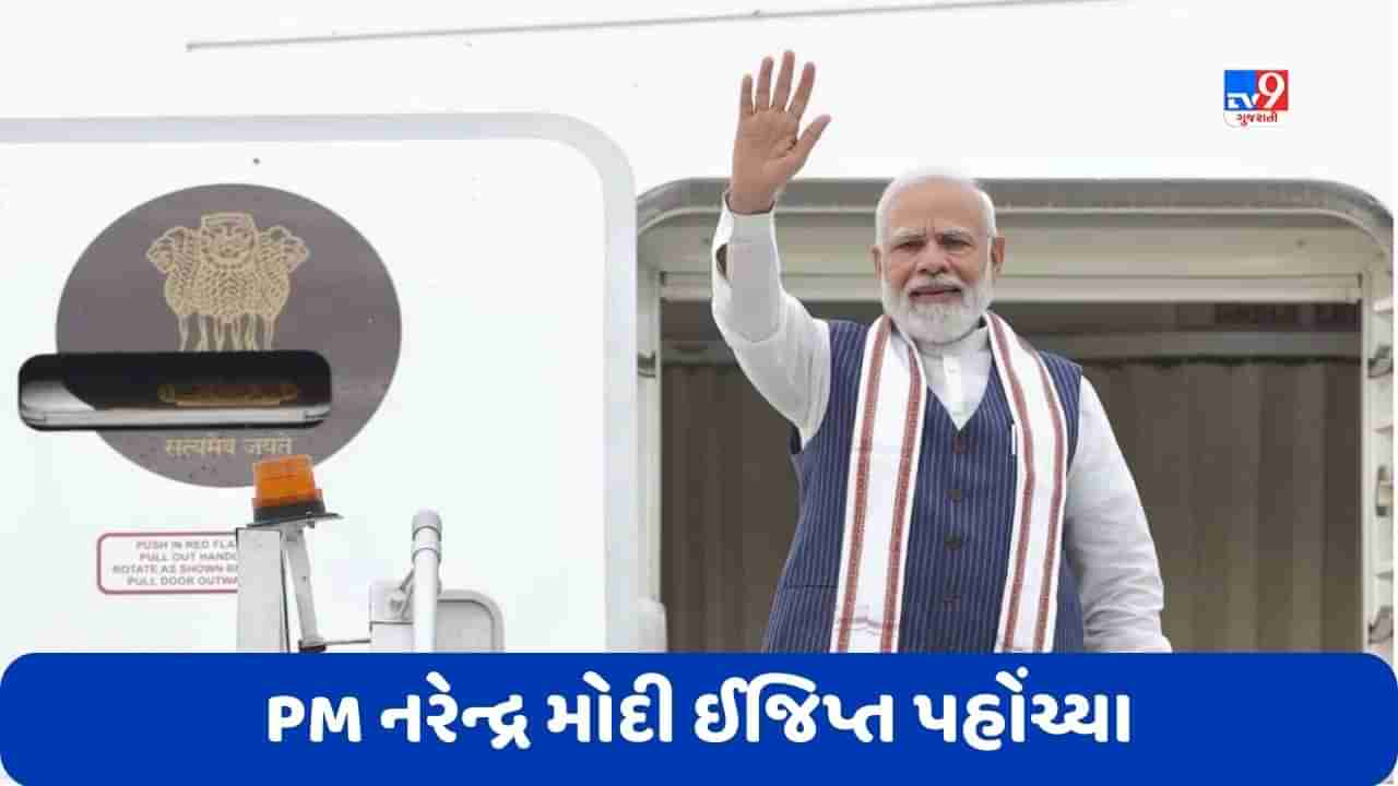 PM Modi Egypt Visit: નરેન્દ્ર મોદી અમેરિકાથી ઈજિપ્ત પહોંચ્યા, હથિયારોની ખરીદી પર કરશે ચર્ચા