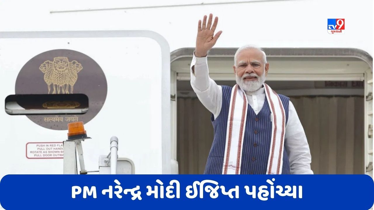 PM Modi Egypt Visit: નરેન્દ્ર મોદી અમેરિકાથી ઈજિપ્ત પહોંચ્યા, હથિયારોની ખરીદી પર કરશે ચર્ચા