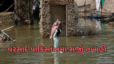 Pakistan Rains: પાકિસ્તાનમાં ભારે વરસાદે તબાહી મચાવી, અત્યાર સુધીમાં 25ના મોત અને 145 ઘાયલ