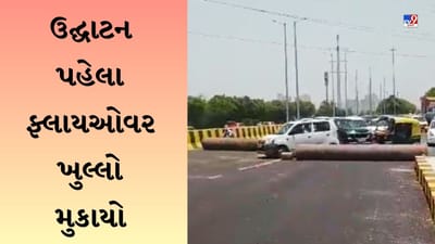 Parthala Bridge Viral Video: નોઈડાના લોકોની ધીરજ તૂટી ગઈ, ઉદ્ઘાટન પહેલા ફ્લાયઓવર ખુલ્લો મુકાયો