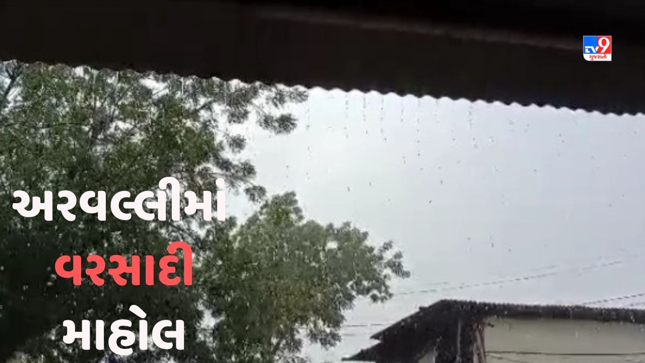 Rain in Aravalli: અરવલ્લી જિલ્લામાં બે દિવસથી વરસાદી માહોલ, જાણો ક્યા કેટલો વરસાદ વરસ્યો