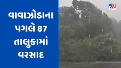 Breaking News Cyclone Biparjoy : વાવાઝોડાના પગલે 87 તાલુકામાં વરસ્યો વરસાદ