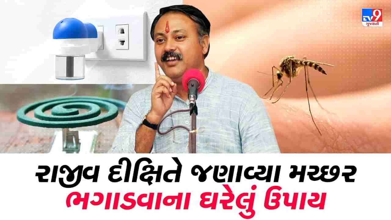 Rajiv Dixit Health Tips : આ દેશી જુગાડ સામે એક પણ મચ્છર ટકી શકશે નહીં ! રાજીવ દીક્ષિતે જણાવ્યા ડેન્ગ્યુ, મેલેરિયા અને ચિકનગુનિયાથી બચવાના ઉપાય, જુઓ Video