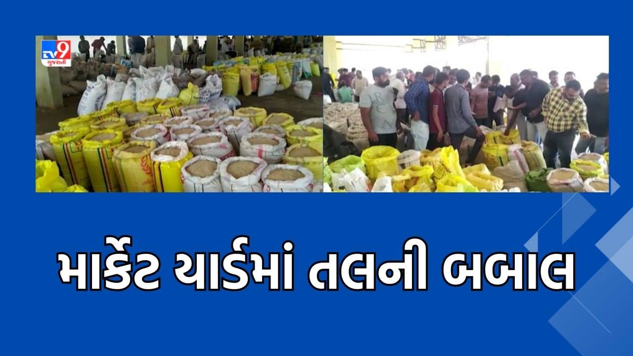 રાજકોટના ધોરાજી માર્કેટયાર્ડમાં તલની આવક સામે ભાવ ગગડયા, જુઓ Video