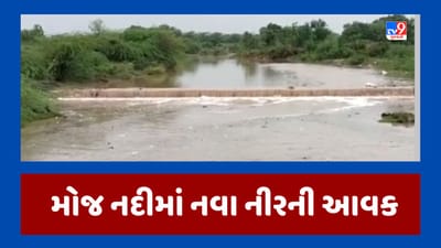 Monsoon 2023 : રાજકોટના ઉપલેટામાં ધોધમાર વરસાદ, મોજ નદીમાં નવા નીરની આવક થઇ, જૂઓ Video Monsoon 2023 : રાજકોટના ઉપલેટામાં ધોધમાર વરસાદ, મોજ નદીમાં નવા નીરની આવક થઇ, જૂઓ Video
