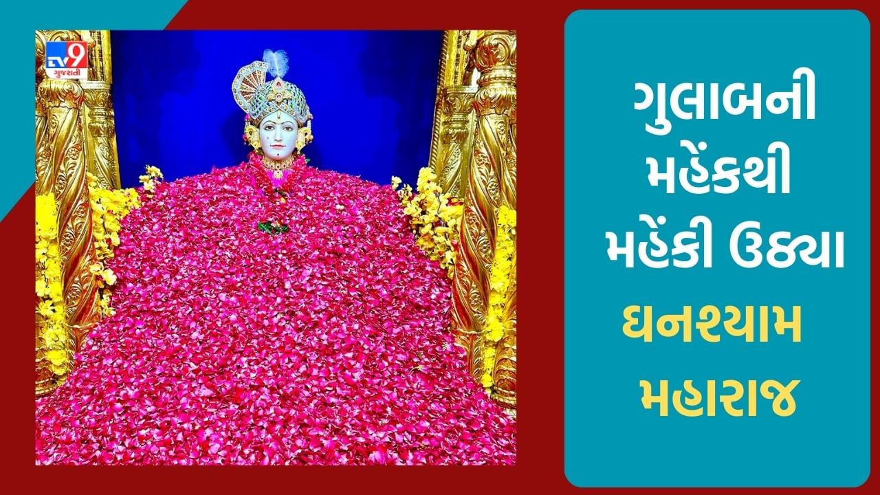 Ahmedabad: મણિનગર સ્થિત સ્વામીનારાયણ મંદિરમાં ઘનશ્યામ મહારાજને 200 કિલો ગુલાબની પાંદડીઓથી કરાયો શણગાર, જુઓ નયનરમ્ય શણગારની તસ્વીર