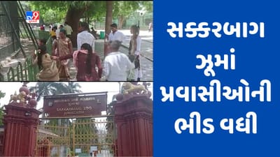 Gujarati video : ઉનાળુ વેકેશનને લઈ સક્કરબાગ ઝૂમાં વધી પ્રવાસીઓની ભીડ, પ્રતિ દિન 5 હજાર જેટલા પ્રવાસીઓ લે છે મુલાકાત