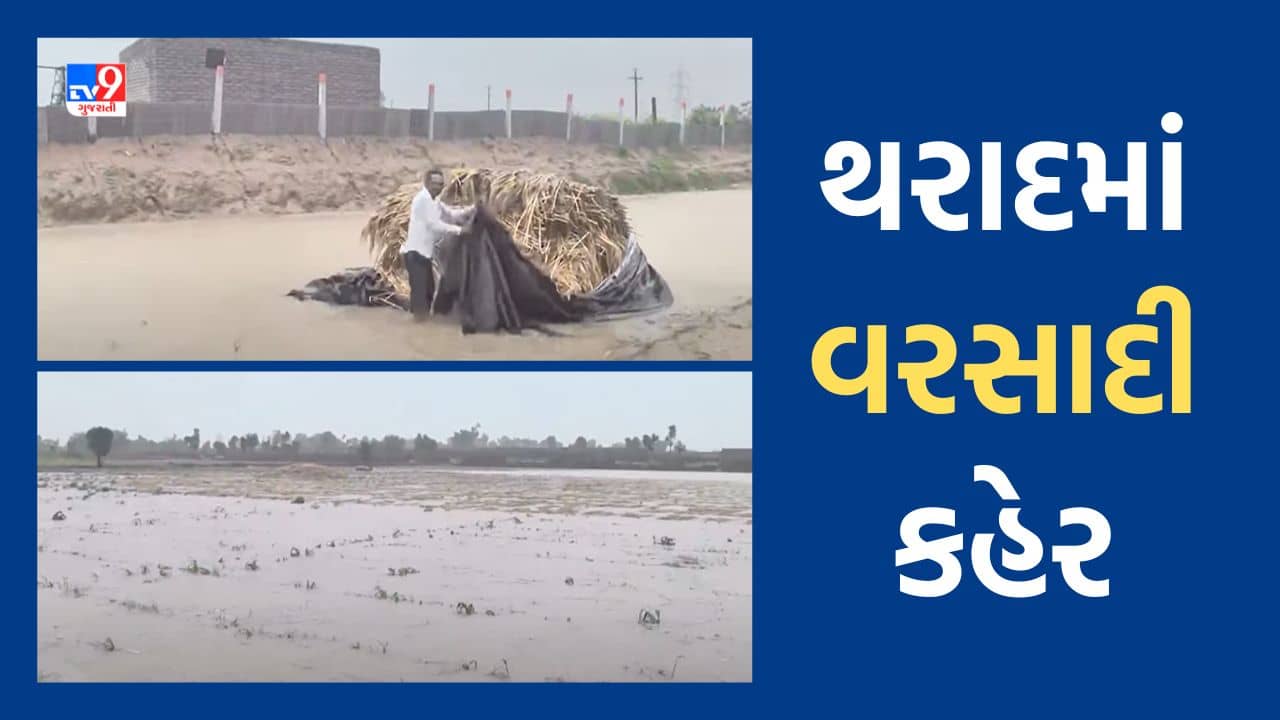 બનાસકાંઠામાં ભારે વરસાદને કારણે તબાહીના દ્રશ્યો સામે આવ્યા, જુઓ Video