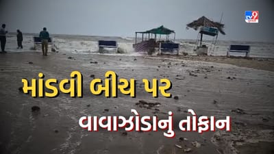 Cyclone Biporjoy: માંડવી બીચ પર તોફાનને કારણે દરિયાના મોજા ફૂડ સ્ટોલ સુધી પહોંચ્યા, જુઓ Video Cyclone Biporjoy: માંડવી બીચ પર તોફાનને કારણે દરિયાના મોજા ફૂડ સ્ટોલ સુધી પહોંચ્યા, જુઓ Video