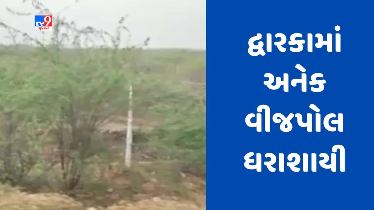 Cyclone Biporjoy: દ્વારકા-પોરબંદર હાઈવે પર અનેક વીજપોલ થયા ધરાશાયી, જુઓ Video