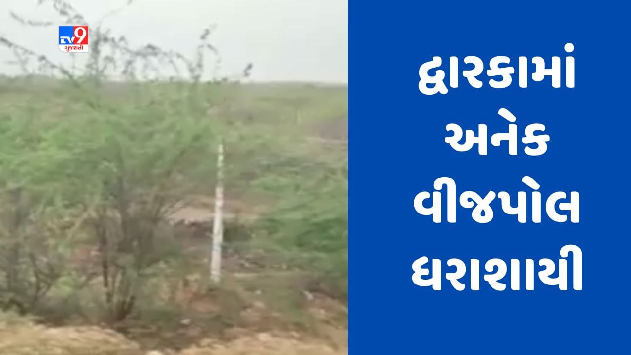 Cyclone Biporjoy: દ્વારકા-પોરબંદર હાઈવે પર અનેક વીજપોલ થયા ધરાશાયી, જુઓ Video Cyclone Biporjoy: દ્વારકા-પોરબંદર હાઈવે પર અનેક વીજપોલ થયા ધરાશાયી, જુઓ Video