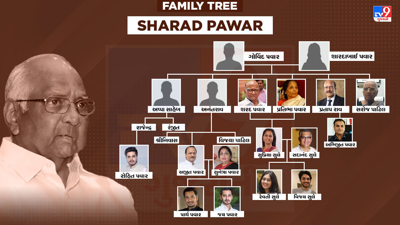 Sharad Pawar Family Tree : આજે 83 વર્ષના થયા શરદ પવાર, રાજનીતિમાં છે પરિવારની ત્રણ પેઢી, જાણો પવારના 'પાવરફુલ' પરિવાર વિશે