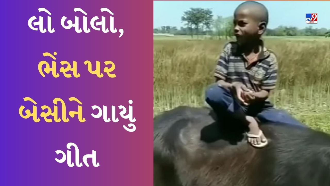 Singing Funny Viral Video: હોઈ કાંઈ....! ભેંસ પર બેસીને બાળકે ગાયું આવું ગીત, સાંભળીને લોકોએ કહ્યું- 'વાહ બેટે મૌજ કર દી'