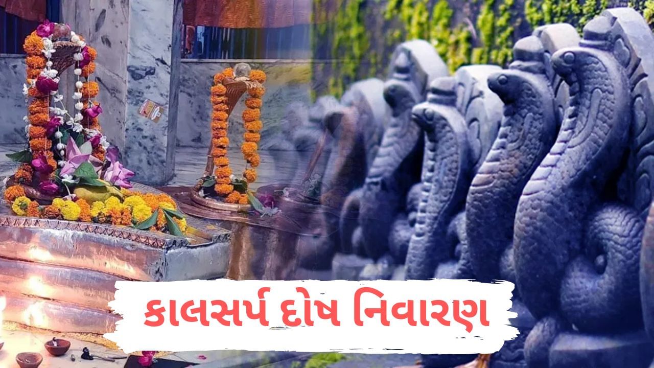 Snake Temple of India: નાગ સાથે જોડાયેલા મોટા તિર્થ સ્થળો,જ્યાં પૂજા માત્રથી કાલસર્પ દોષ સમસ્યા માંથી મળે છે મુક્તિ