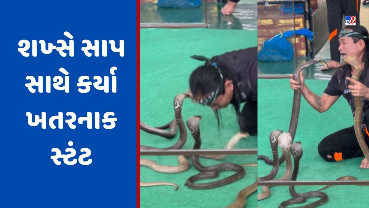 ચારેકોર સાપ રાખી સ્ટંટ કરી રહ્યો હતો શખ્સ, પછી કર્યું કંઈક એવુ કે લોકો ...