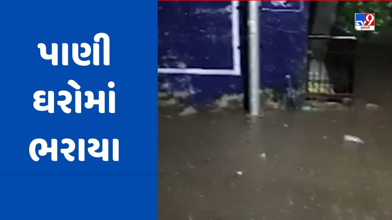 Monsoon 2023: તાપીના વાલોડમાં વરસ્યો ધોધમાર વરસાદ, શહેરના અનેક વિસ્તારોમાં ઘરોમાં પાણી ભરાયા, જુઓ Video