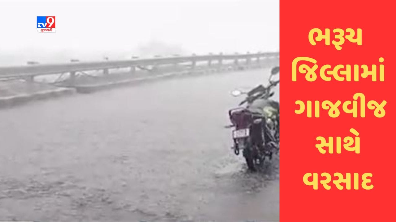 Gujarati Video : ભરૂચ જિલ્લામાં ગાજવીજ સાથે વરસાદી ઝાપટા Gujarati Video : ભરૂચ જિલ્લામાં ગાજવીજ સાથે વરસાદી ઝાપટા
