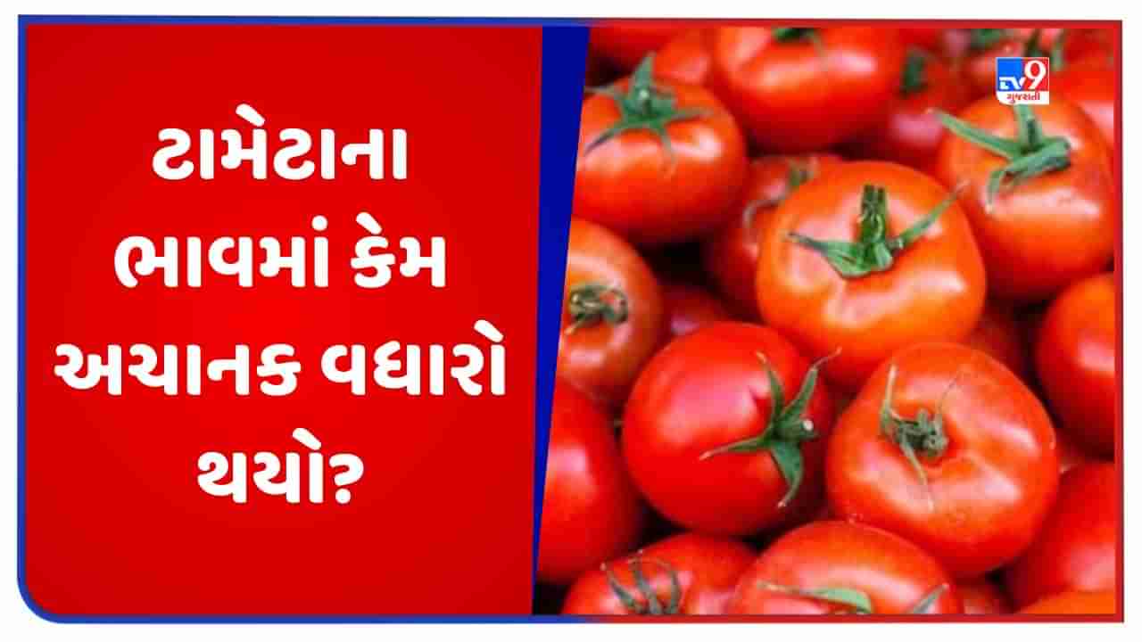 Tomato Price Hike: ટામેટાના ભાવમાં કેમ અચાનક વધારો થયો? જાણો મોંઘવારી વધવાનું કારણ