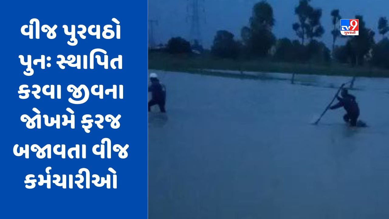 બિપરજોય વાવાઝોડા બાદ વીજ પુરવઠો પુનઃ સ્થાપિત કરવા જીવના જોખમે ફરજ બજાવતા વીજ કર્મચારીઓ, જુઓ Video