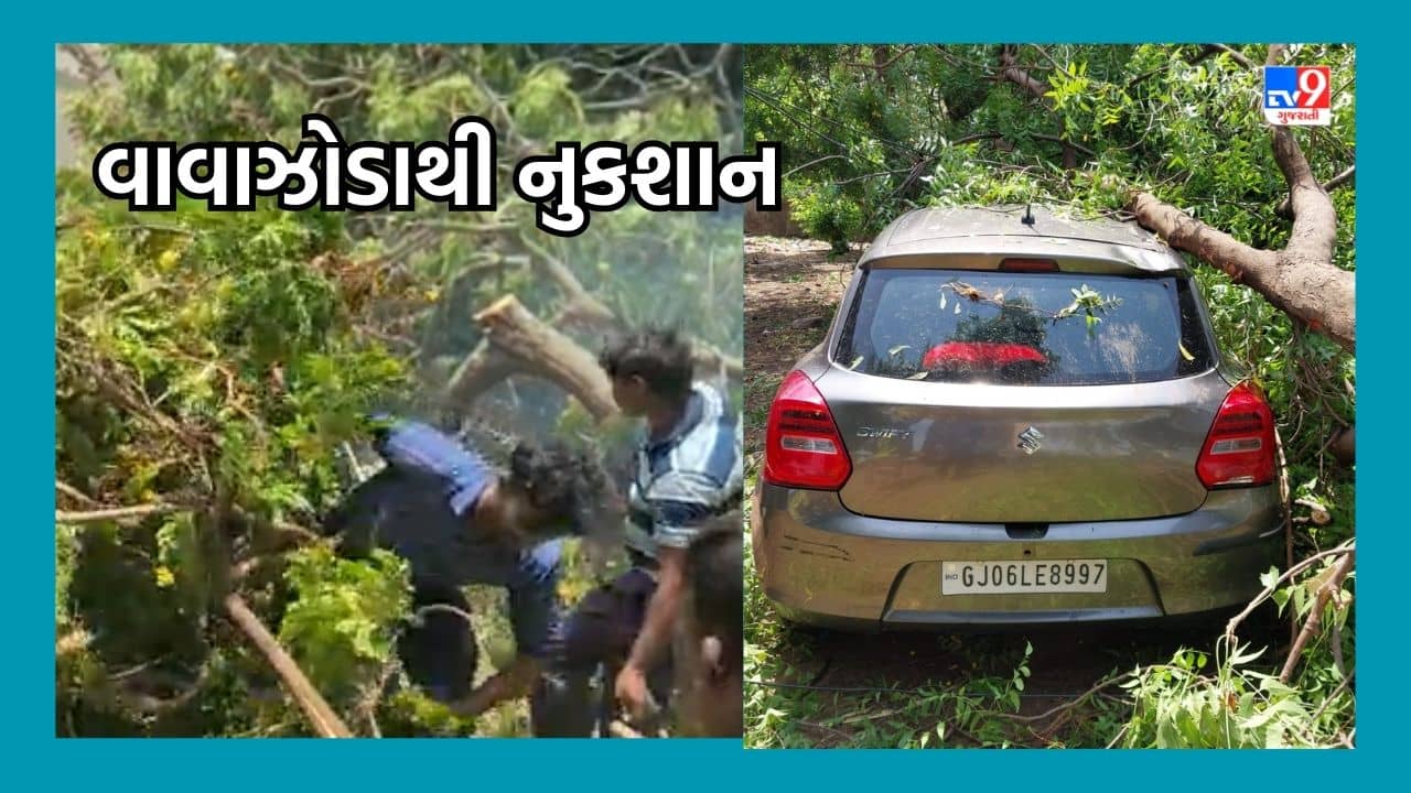 Vadodara: પાદરાના સાઘી ગામમાં વહેલી સવારે આવેલા વાવાઝોડાથી ભારે નુકસાન, પવનને કારણે ક્વાર્ટર્સ ધરાશાયી, જુઓ Video