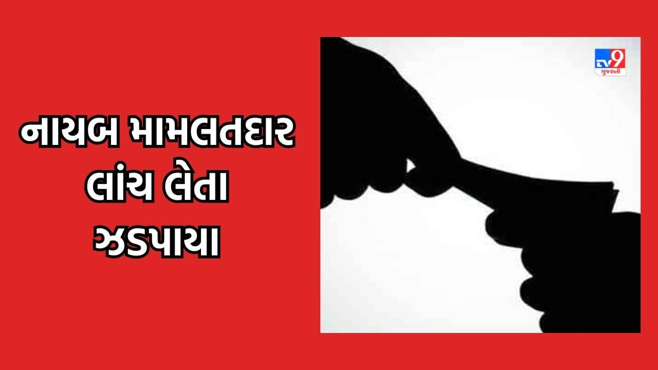 Vadodara: નાયબ મામલતદાર કેતન શાહ 25 હજારની લાંચ લેતા ACBના હાથે ઝડપાયા, જુઓ Video